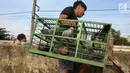 Burung dara dalam sangkar siap terbang mengikuti latihan burung kolong lapak tanggul di pesisir Banjir Kanal Barat, Petamburan, Tanah Abang, Jakarta, Rabu (27/2). (Liputan6.com/Fery Pradolo)