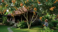 8 Pohon Buah Favorit Petani untuk Ditanam di Sekitar Rumah Desa, Peneduh Alami yang Produktif