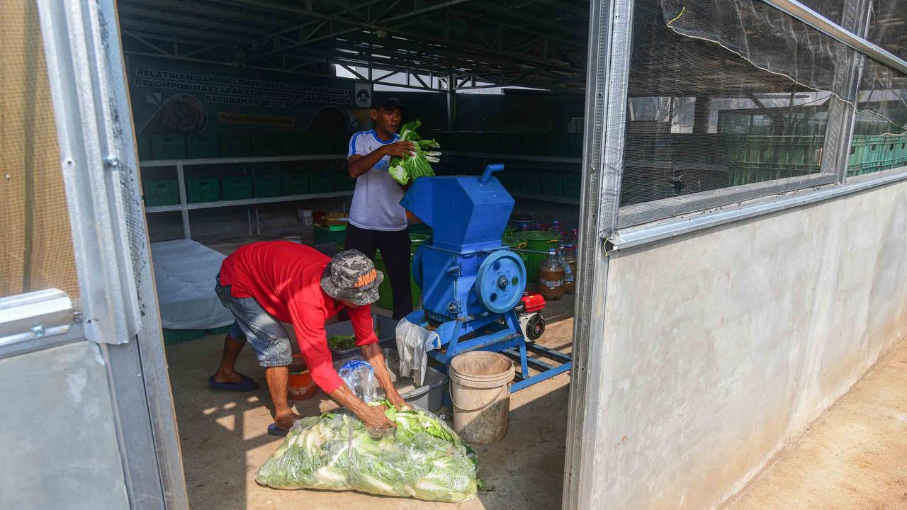FOTO: Budidaya Maggot Bantu Warga Terdampak PHK di Depok