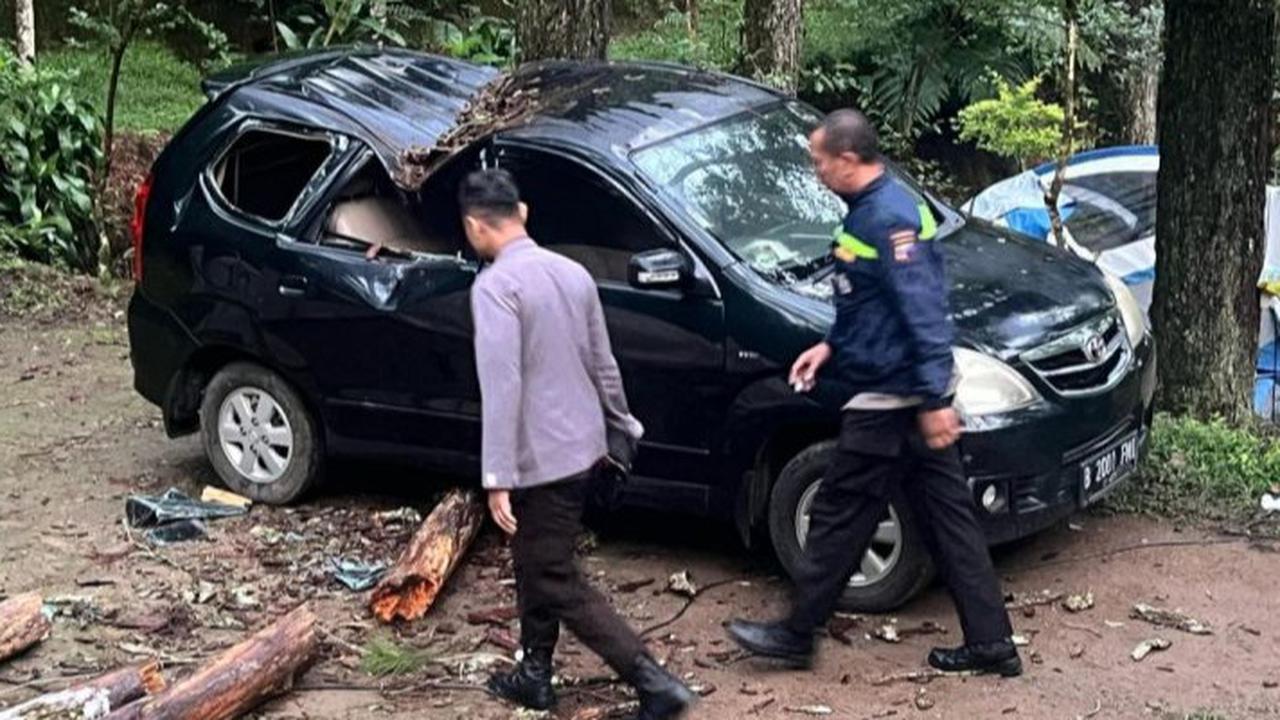 Nahas, Satu Keluarga Tertimpa Pohon Pinus Rapuh saat Mau Berkemah di New Sekipan Karanganyar