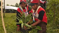 Selain Jago Menjelajah Alam, Anggota Pramuka Juga Hebat Ramu Obat