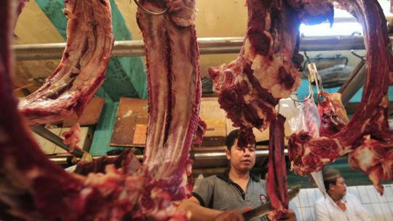 Stok daging sapi dipastikan aman jelang lebaran