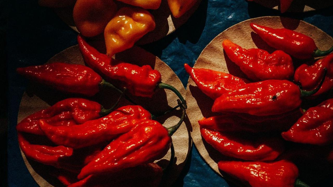 <b>Mengenal Bumbu Saus Padang yang Khas</b>