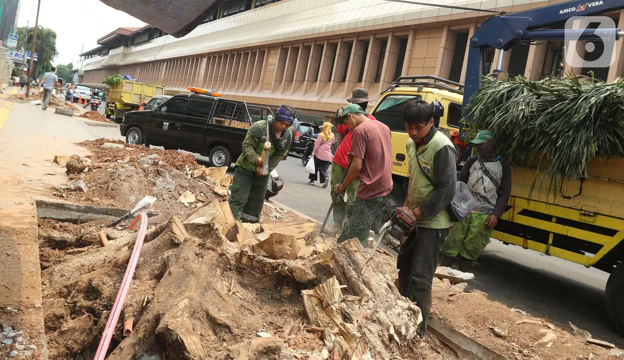 Sejumlah pekerja memotong sisa tebangan pohon di trotoar kawasan Cikini, Jakarta, Selasa (5/11/2019). Dinas Kehutanan DKI Jakarta menebang pohon di seberang Stasiun Cikini dan akan mengganti pohon angsana dengan yang tidak merusak konstruksi pedestrian. (Liputan6.com/Herman Zakharia)