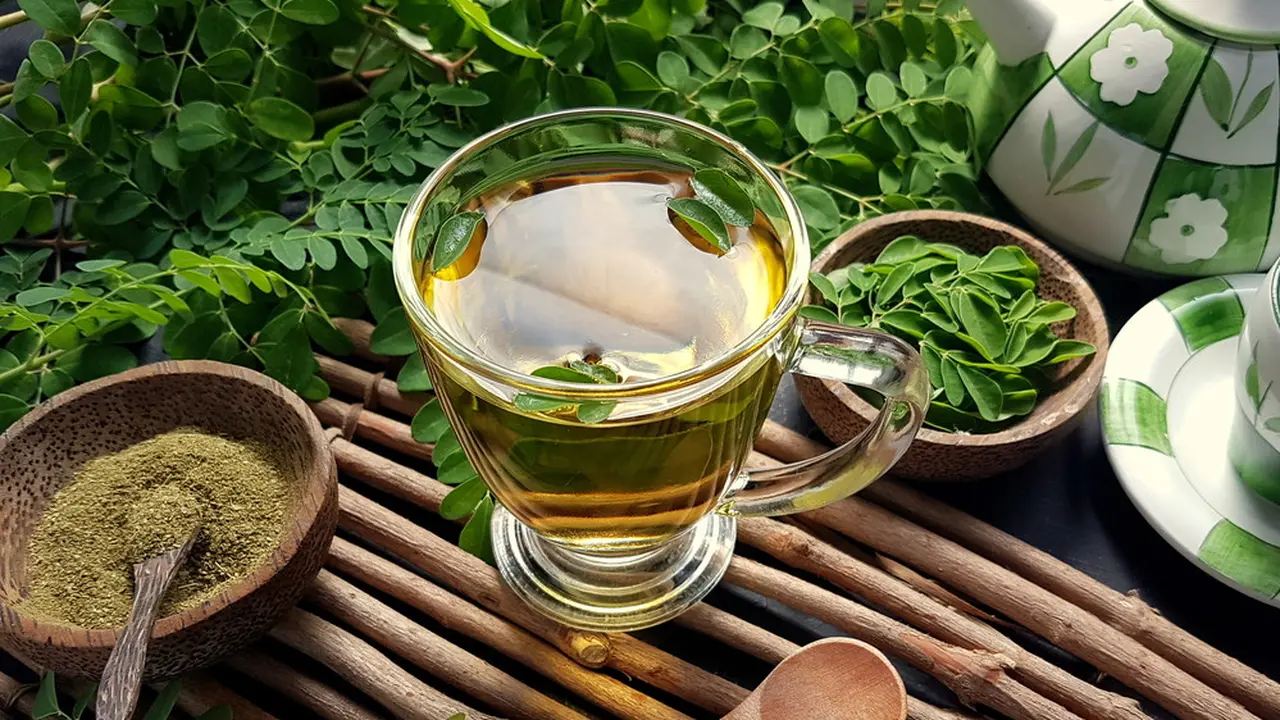 resep daun kelor