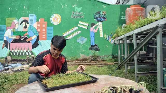 Budi Daya Sayuran Hidroponik Menjadi Produk Ekonomis