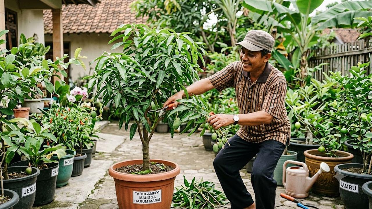 Cara Memangkas Tabulampot agar Panen Lebih Banyak/AI Generated