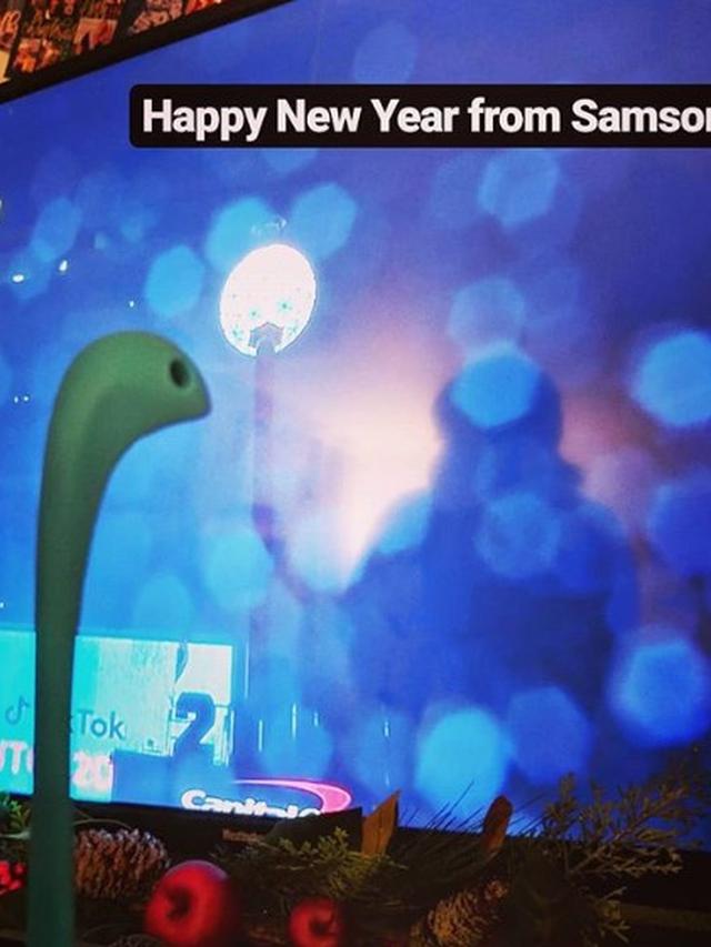 Samson sendok sop