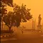Penampakan imbas kabut asap kebakaran hutan Kalimantan di wilayah Palangkaraya. (Liputan6.com/ Sarasi Youth Act)