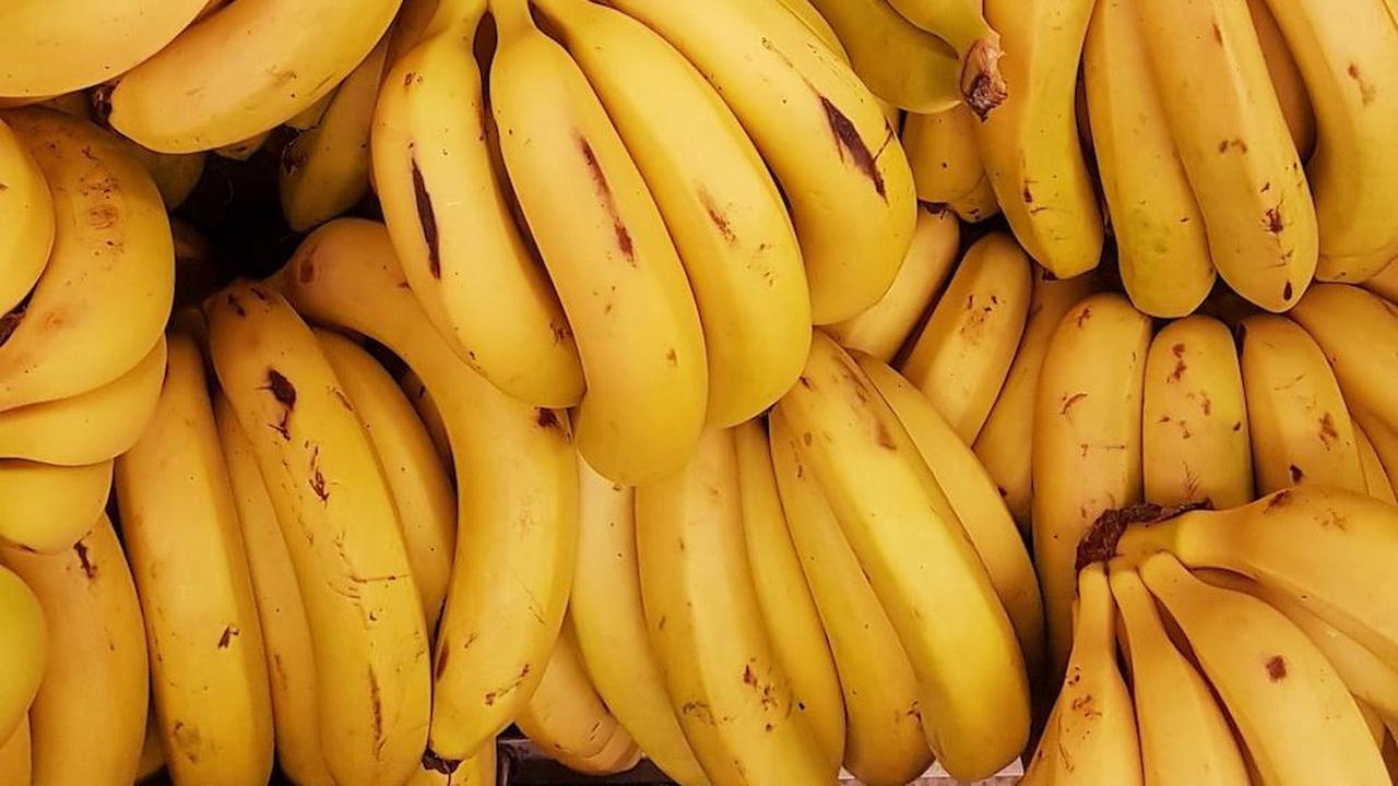 <b>Pisang</b>