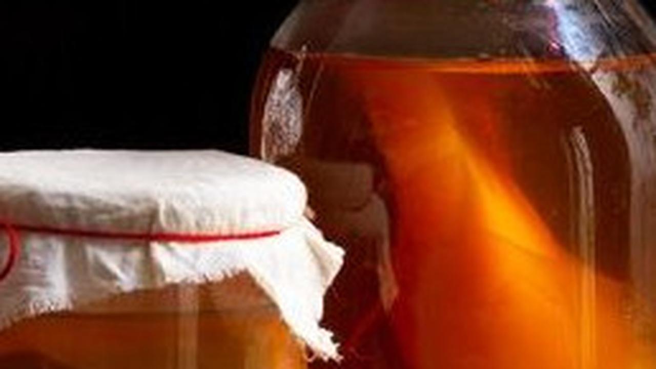 Enam Manfaat Teh Kombucha untuk Menurunkan Kolesterol Secara Alami