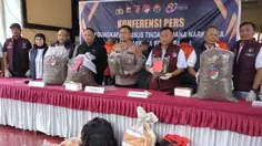 38 Kilogram Ganja dan 169 Pohon Disita di Papua