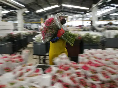 Pekerja membawa paket anyelir untuk dikirim ke AS jelang Hari Valentine, hari libur terbesar tahun ini untuk penjualan bunga segar di perusahaan bunga Colibri di El Rosal, Kolombia, 25 Januari 2022. Kolombia menjadi salah satu negara terbesar penyuplai bunga di Hari Valentine. (AP/Fernando Vergara)