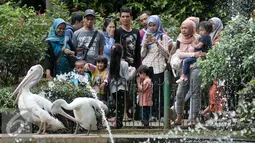 Sejumlah pengunjung melihat burung Pelikan di Kebun Binatang Ragunan, Jakarta Selatan, Senin (12/12). Libur Maulid Nabi Muhammad SAW, Kebun Binatang Ragunan diserbu warga yang ingin menikmati waktu libur bersama keluarga. (Liputan6.com/Yoppy Renato)