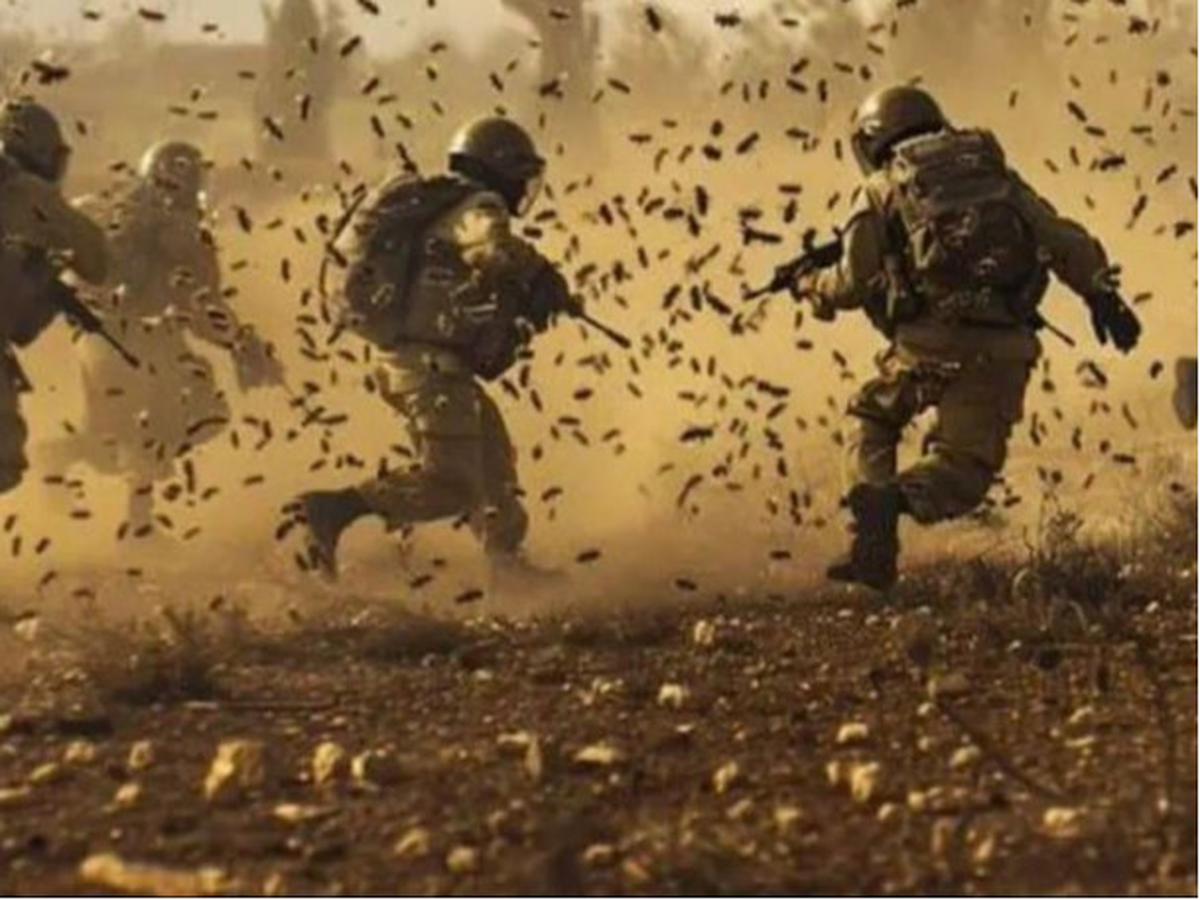 Tentara Israel Disengat Tawon di Gaza, 12 Orang Masuk Rumah Sakit
