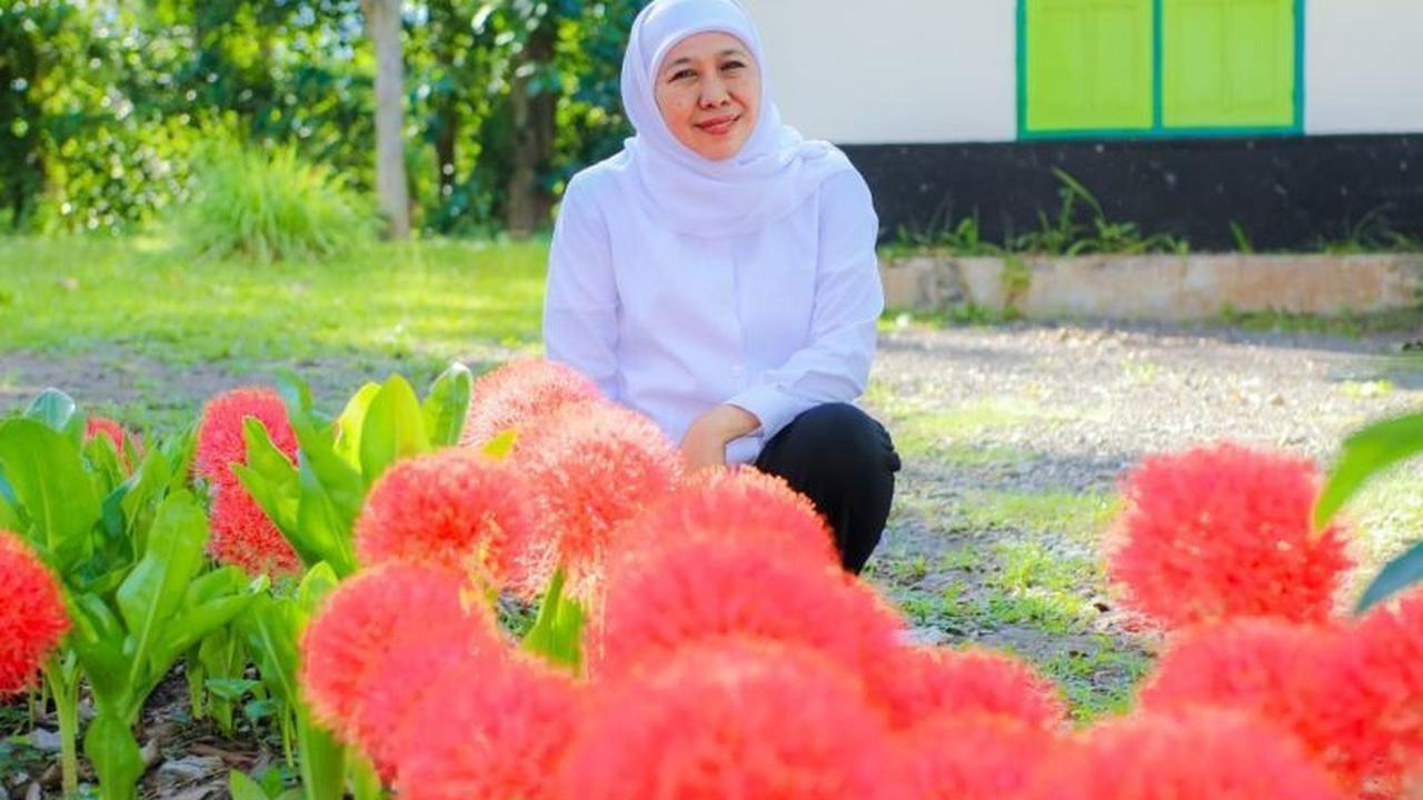 Fakta Unik Bunga Desember: Khofifah Kagum pada Nilai Historis & Spiritualnya, Mekar Indah di Bondowoso