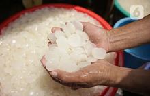 Manfaat Kolang-Kaling, dari Minuman Segar hingga Obat Alami untuk Kolesterol