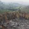 Helikopter Jepang Bantu Padamkan Kebakaran Hutan Kalbar