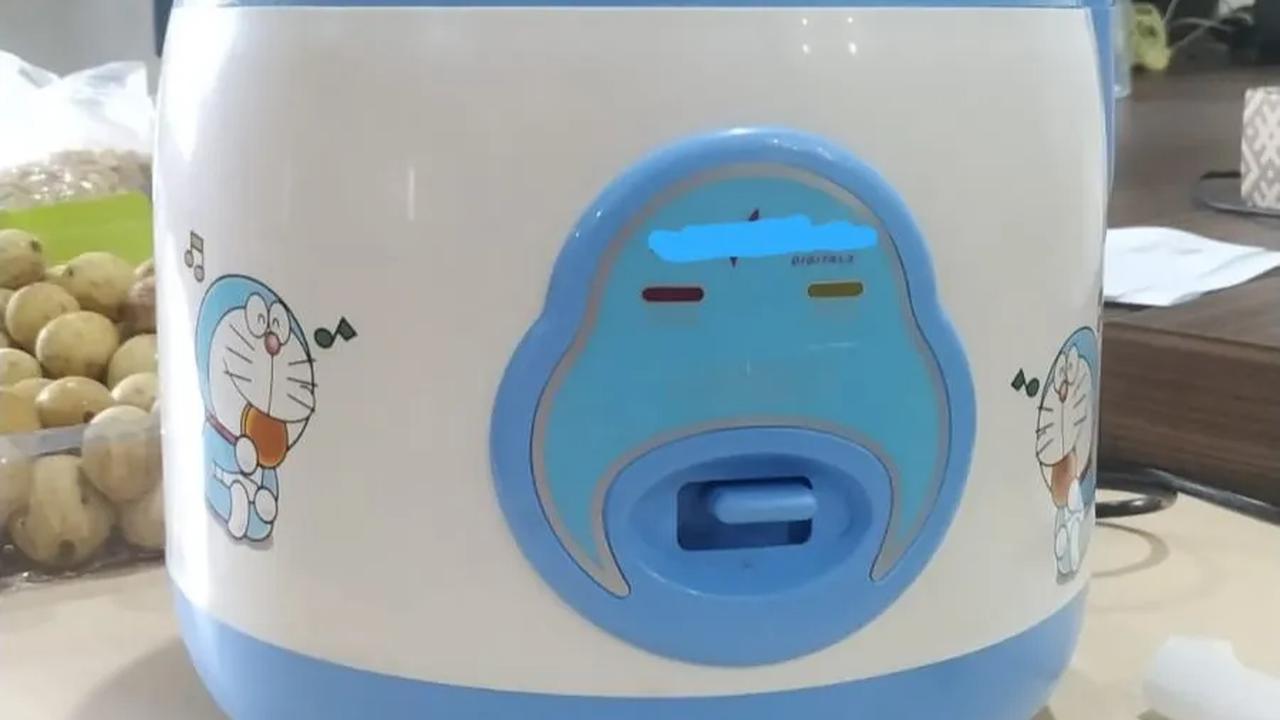 Kementerian Energi dan Sumber Daya Mineral (ESDM) telah mengantongi data 333 ribu calon penerima rice cooker gratis, dari target sekitar 500 ribu penerima pada 2023 ini.