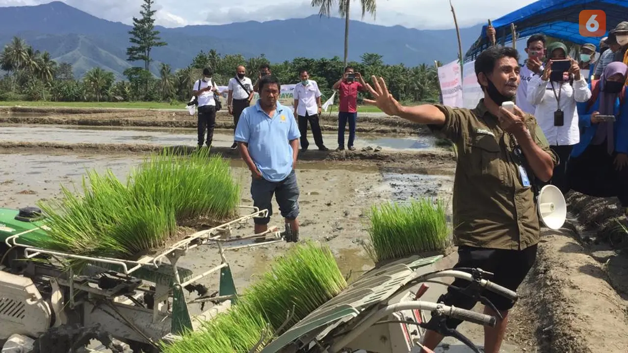 tanam perdana padi di Desa Pakuli Utara, Sigi