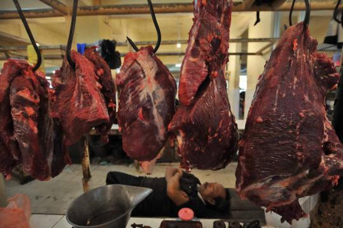 Harga daging sapi masih normal 