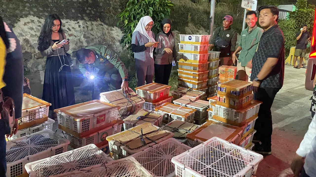 2.775 Burung berbagai jenis ditemukan dalam puluhan keranjang dan kardus di bagasi bus di Bakauheni. (Liputan6.com/Istimewa).