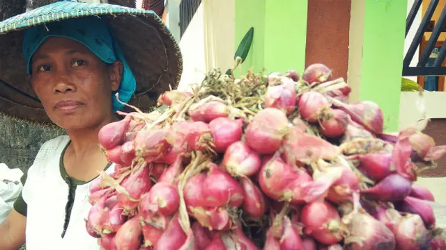 Bawang Merah di Brebes