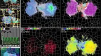  Misteri penampakan mirip kupu-kupu di radar (US National Weather Service Saint Louis Missouri)