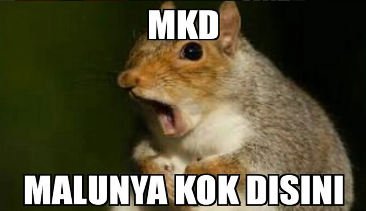 Ternyata Tupai ini punya kepanjangan dari MKD. (twitter#MKDBobrok)