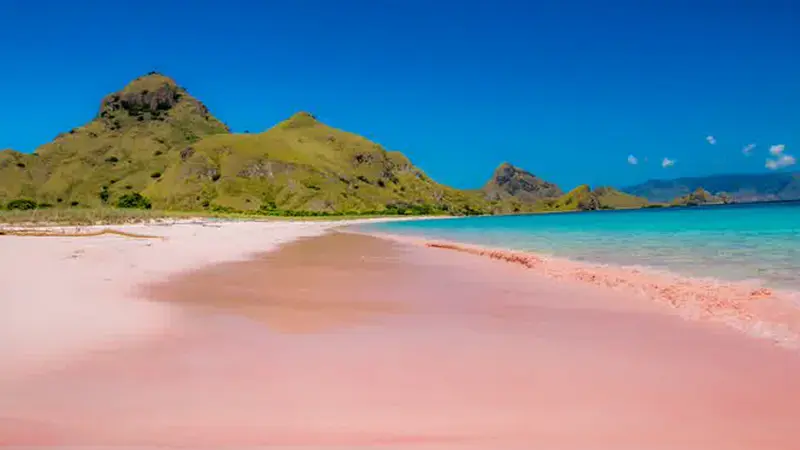 Keelokan 2 Pantai Berpasir Pink yang Ada Di Indonesia