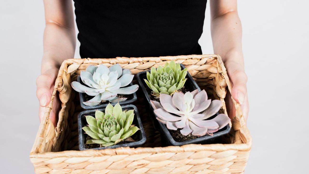 Zero Waste! Intip 7 Rekomendasi Hampers Lebaran yang Ramah Lingkungan - 6