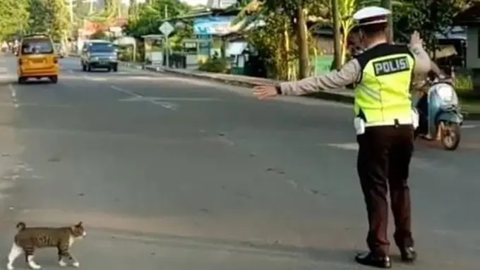 copyright instagram/@rtmcpoldasumsel