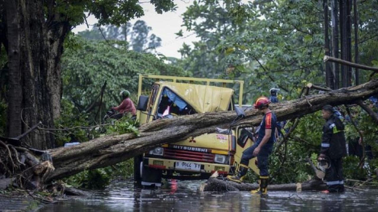 Cegah Pohon Tumbang Gratis: Disbudpar Tangerang Sediakan Layanan Pangkas Pohon Gratis, Ini Cara Lapornya!