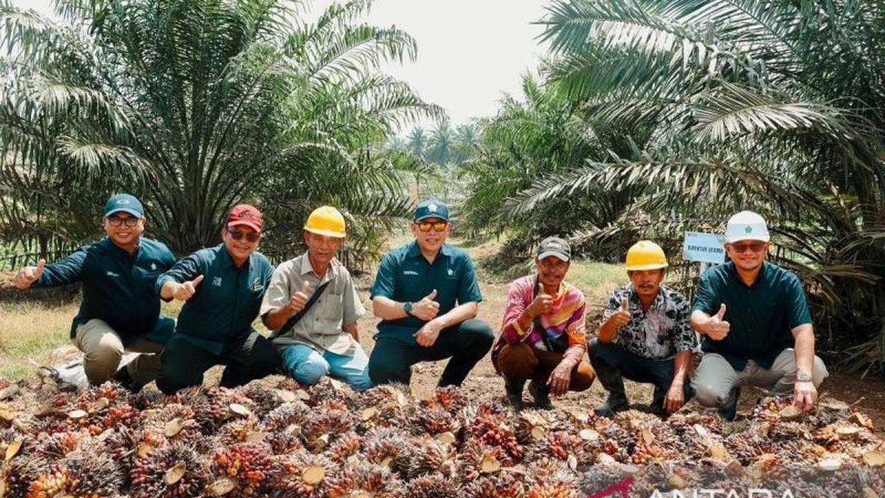 Tahukah Anda? PTPN IV PalmCo Ajak Masyarakat Selamatkan Lingkungan Melalui Pembelian Kredit Karbon Mulai Rp150 Ribu