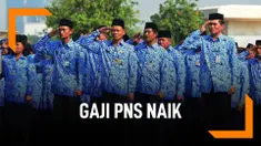Fakta-Fakta Kenaikan Gaji PNS Per April 2019