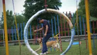 Tren di China, Anjing Bisa Masuk Taman Kanak-kanak