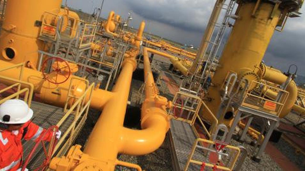 2012, Pertamina investasi USD 12 juta