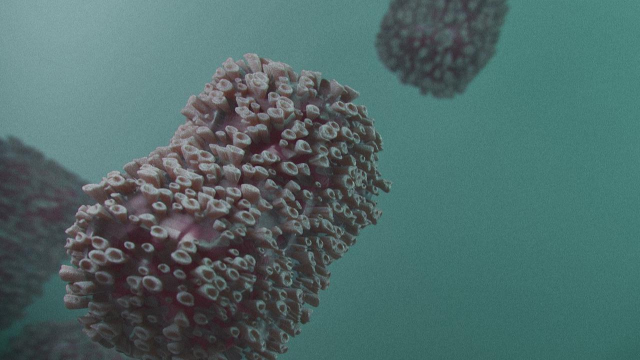 BRIN Sebut Penularan Mpox Varian Clade Ib Lebih Cepat, Sebagian Besar Lewat Kontak Seksual