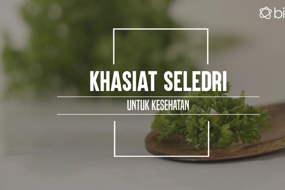 [Bintang] Seledri