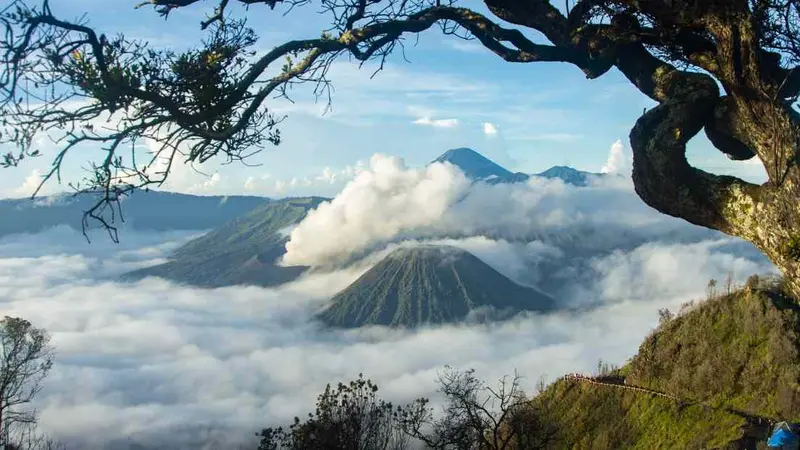 Ilustrasi Gunung Bromo (Istimewa)