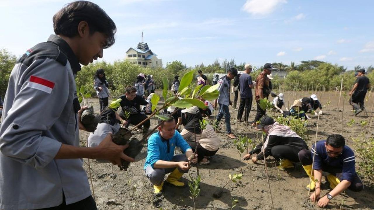 Fakta: Butuh Puluhan Tahun, Bukan Seminggu untuk Restorasi Lingkungan Indonesia Pasca Kerusakan