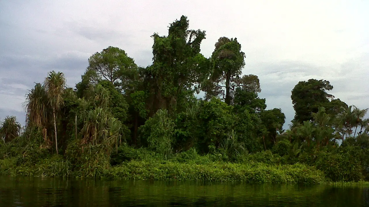 Potensi minyak di Danau Zamrud, Siak, Riau (1)