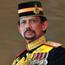 Hassanal Bolkiah adalah sultan ke-29, Yang Di-Pertuan Brunei Darussalam, dan Perdana Menteri pertama Brunei Darussalam.