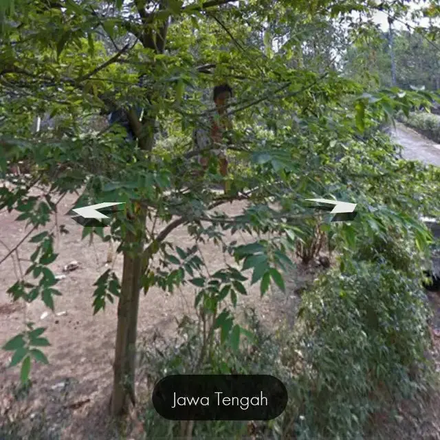 6 Potret Aktivitas Orang Terekam Google Maps Ini Kocak, Sampai ke Dalam Rumah