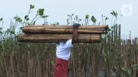 Tanaman mangrove ini juga telah berhasil mengurangi emisi karbon sebesar 3.800 Ton CO2 per tahun. (merdeka.com/Imam Buhori)