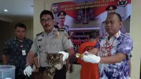 Kulit dan tulang harimau sumatera yang disita Direktorat Kriminal Khusus Polda Sumsel. (Nefri Inge/Liputan6.com)