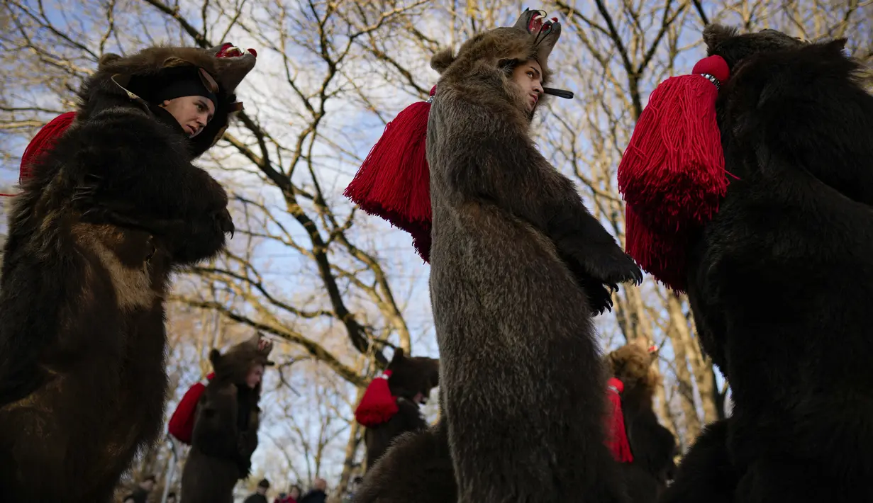 Orang-orang yang mengenakan kostum bulu beruang mengikuti parade di Comanesti, Romania, Jumat, 30 Desember 2022. Dentuman genderang dimulai pagi-pagi sekali menandakan kedatangan ratusan orang yang turun ke kota Comanesti yang mengenakan kostum terbuat dari bulu beruang dengan kepala yang masih menempel. (AP Photo/Vadim Ghirda)