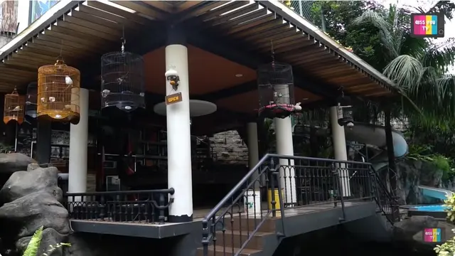 9 Potret Rumah Denny Cagur, Hunian Mewah dengan Konsep Desain Modern Klasik