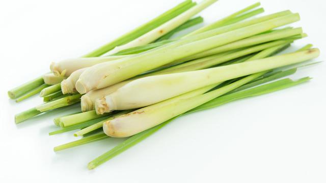 Manfaat Serai Untuk Ibu Hamil