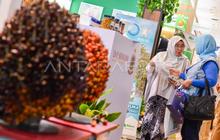 BRIN dan Agrinas Palma Perkuat Riset Sawit Berkelanjutan, Dorong Hilirisasi Industri Nasional
